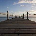 Aliza Smitham Profile Picture