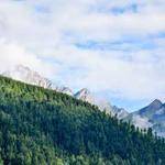 Lora Thiel Profile Picture