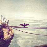 Horacio Osinski Profile Picture