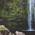 Jazmin Green Profile Picture