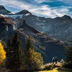 Samir Upton Profile Picture