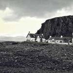 Coralie Herzog Profile Picture