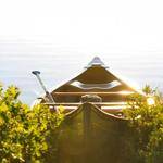 Caleigh Olson Profile Picture