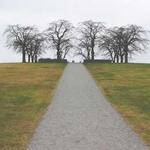 Sydnie Wisoky Profile Picture