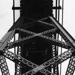 Miller Batz Profile Picture