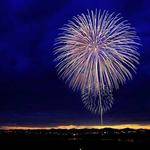 Ivah Stiedemann Profile Picture